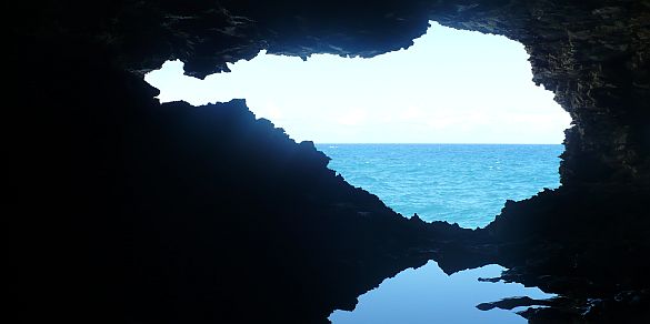 A Helpful Guide To Exploring the Beauty of Animal Flower Cave in St. Lucy,&nbsp;Barbados