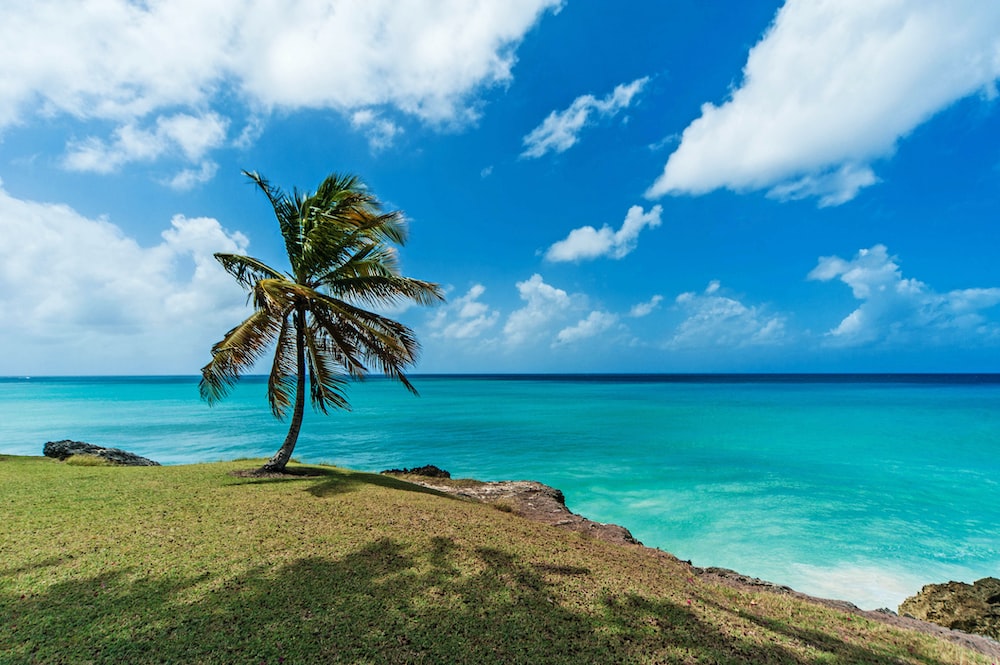 Why Barbados Land is Your Next Best Investment: A Comprehensive&nbsp;Guide